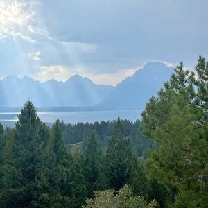 Meet your Posher, Posh